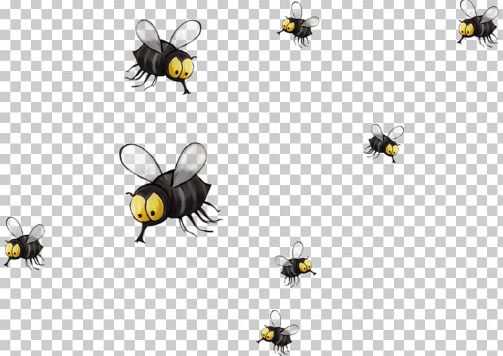 Honey Bee Paper PNG, Clipart, Animals, Black, Black Hair, Cartoon, Computer Wallpaper Free PNG Download