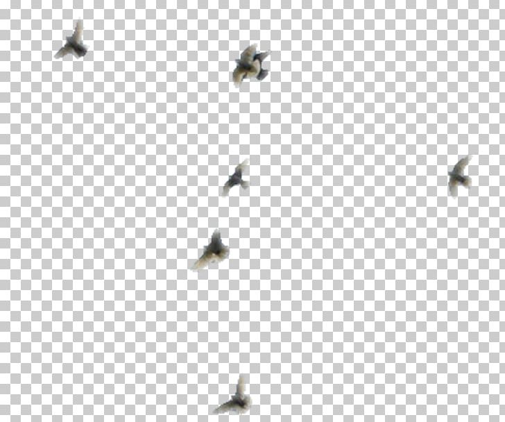 Line Flock Insect Membrane Sky Plc PNG, Clipart, Art, Bird, Fauna, Flock, Insect Free PNG Download