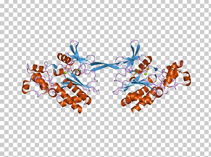 GSTM2 Glutathione S-transferase M2 (muscle) PNG, Clipart, Angle, Area, Art, Brand, Clothing Accessories Free PNG Download