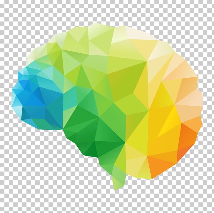 Human Brain Polygon Graphics PNG, Clipart, Brain, Green, Human Brain, Line, Neuron Free PNG Download