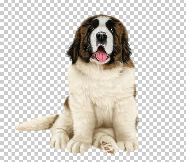 Pyrenean Mastiff St. Bernard Dog Breed Moscow Watchdog Landseer Dog PNG, Clipart, Ancient Dog Breeds, Carnivoran, Cheyenne, Chien, Companion Dog Free PNG Download