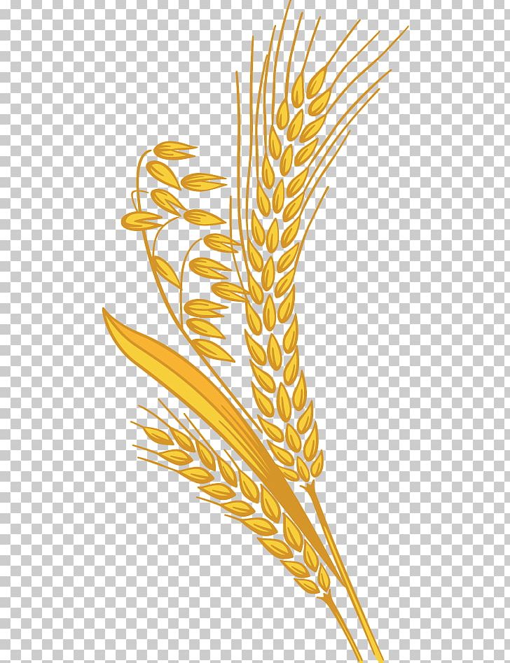 Grain PNG, Clipart, Beak, Commodity, Crop, Feather, Flower Free PNG Download