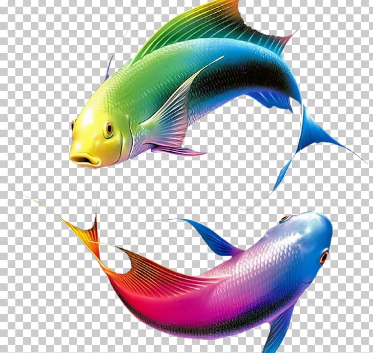 Portable Network Graphics Fish Color Adobe Photoshop PNG, Clipart, Animals, Blue, Bony Fish, Color, Fin Free PNG Download