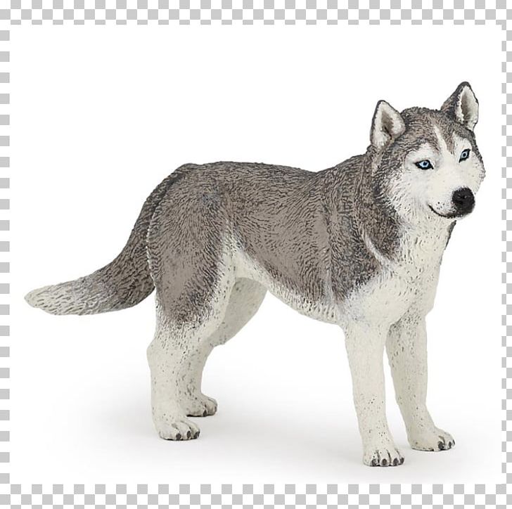 Miniature Siberian Husky Alaskan Klee Kai Puppy Great Dane PNG, Clipart, Alaskan Malamute, Animal, Animals, Canadian Eskimo Dog, Carnivoran Free PNG Download