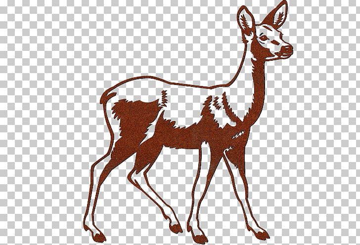 Roe Deer Wild Boar Red Deer Moose PNG, Clipart, Animal, Animal Figure, Animals, Antelope, Antler Free PNG Download