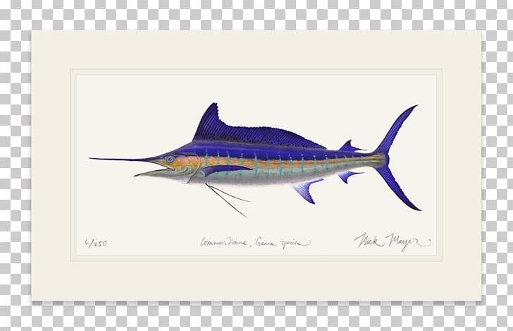 Swordfish Requiem Sharks PNG, Clipart, Animals, Billfish, Bony Fish, Fauna, Fin Free PNG Download