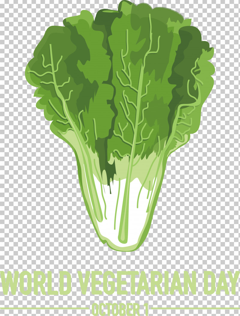 Salad PNG, Clipart, Autumn Vegetables, Cabbage, Celtuce, Drawing, Leaf Vegetable Free PNG Download