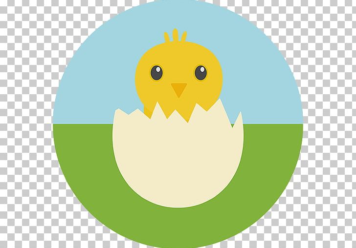 Computer Icons Encapsulated PostScript PNG, Clipart, Beak, Bird, Chick, Child, Circle Free PNG Download