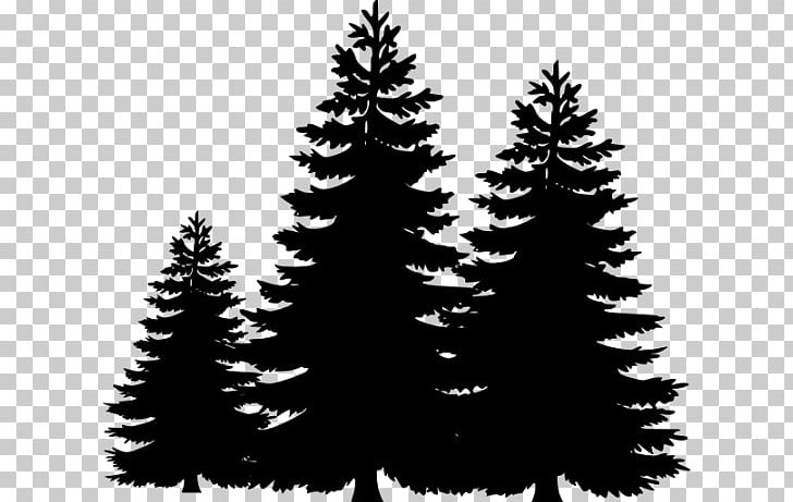 Pine Tree Silhouette PNG, Clipart, Black And White, Black Trees Cliparts, Branch, Christmas Decoration, Christmas Ornament Free PNG Download