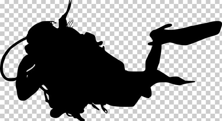 Silhouette PNG, Clipart, Animals, Artwork, Beak, Bird, Black Free PNG Download