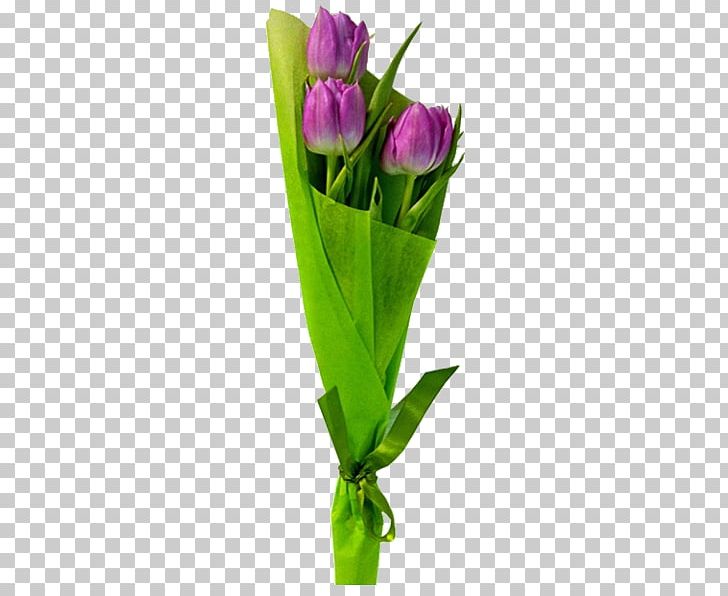 Tulip Flower Bouquet Garden Roses Red PNG, Clipart, Blue, Box, Bud, Flora, Floristry Free PNG Download