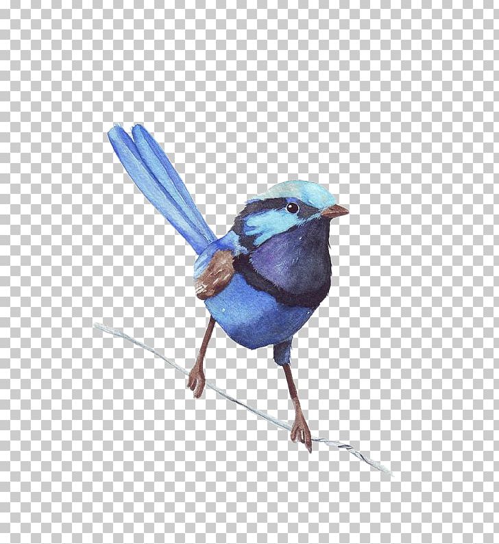 Watercolor Painting Wren Bird Printmaking PNG, Clipart, Animals, Art, Beak, Blue, Blue Jay Free PNG Download