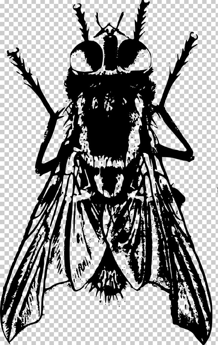 Bee Insect Drawing Black And White Housefly PNG, Clipart, Art, Arthropod, Bee, Black And White, Drawing Free PNG Download