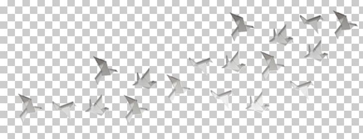 Header Metadata PNG, Clipart, Angle, Avatan, Avatan Plus, Beak, Bird Free PNG Download