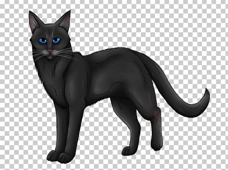 Into The Wild Midnight Cat Warriors Firestar PNG, Clipart, Animals, Asian, Black, Black Cat, Bombay Free PNG Download