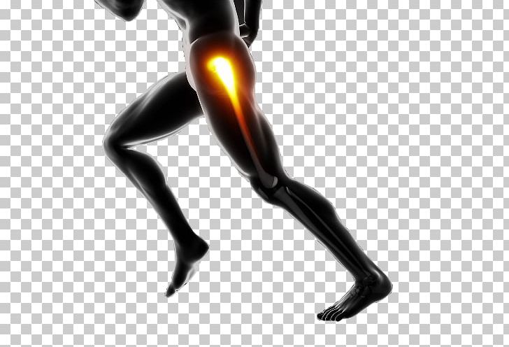 Joint Knee Collagen Hyaluronic Acid Bone PNG, Clipart,  Free PNG Download