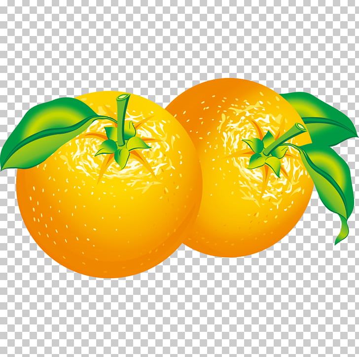 Orange Citrus PNG, Clipart, Food, Fruit, Fruit Nut, Grapefruit, Happy Birthday Vector Images Free PNG Download