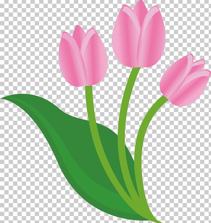 Tulip Flower PNG, Clipart, Bud, Computer Wallpaper, Desktop Wallpaper, Flower, Flowering Plant Free PNG Download