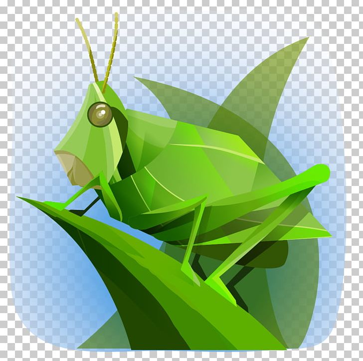 Grasshopper Cricket Wireless Comisión Nacional Para El Conocimiento Y Uso De La Biodiversidad Chapulines PNG, Clipart, 221, Animal, Behance, Biodiversity, Chapulines Free PNG Download