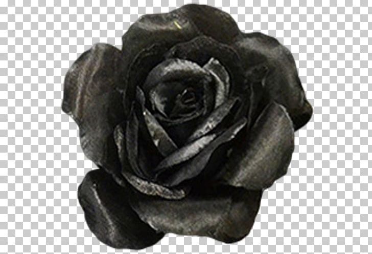 Rose Flower Black Color Ivory PNG, Clipart, Artificial Flowers, Black, Blue, Color, Coral Free PNG Download