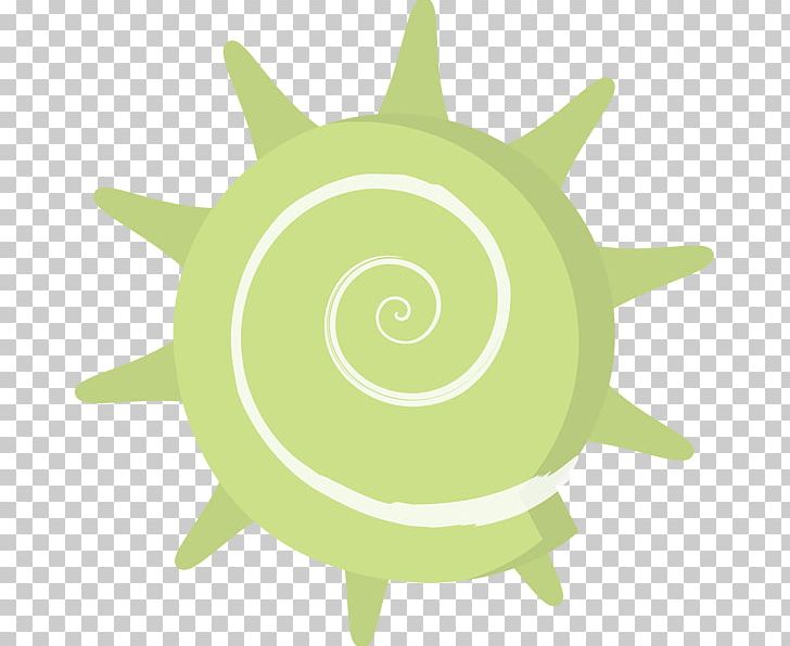 Turbo Cornutus Seashell PNG, Clipart, Art, Grass, Green, Microsoft Powerpoint, Organism Free PNG Download