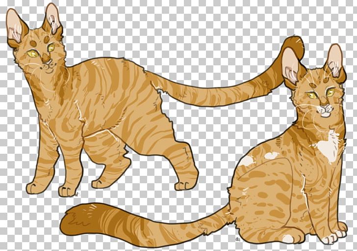 Whiskers Tabby Cat Wildcat Dog PNG, Clipart, Animal, Animal Figure, Animals, Big Cat, Big Cats Free PNG Download