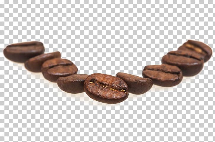 Coffee Bean Cocoa Bean PNG, Clipart, Arabica Coffee, Bead, Bean, Beans, Caryopsis Free PNG Download