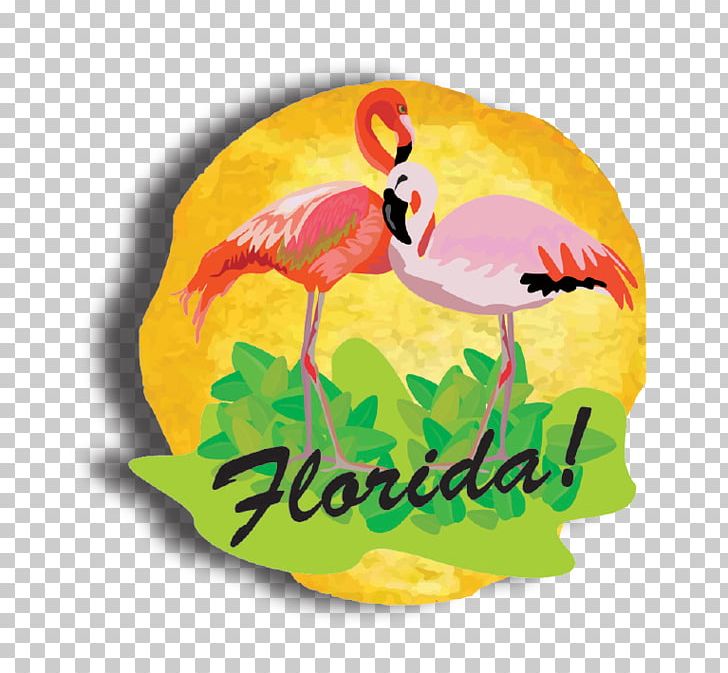 Florida Beak PNG, Clipart, Beak, Bird, Fauna, Flamingo, Florida Free PNG Download