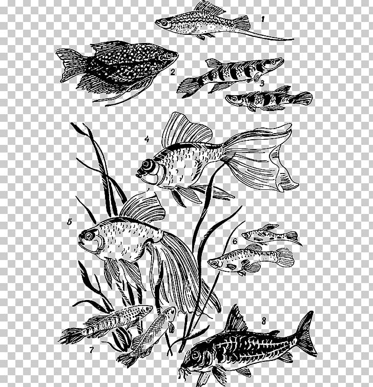 Green Swordtail Graphics Aquarium Illustration Art PNG, Clipart, Aquarium, Aquarium Fish, Art, Automotive Design, Black And White Free PNG Download