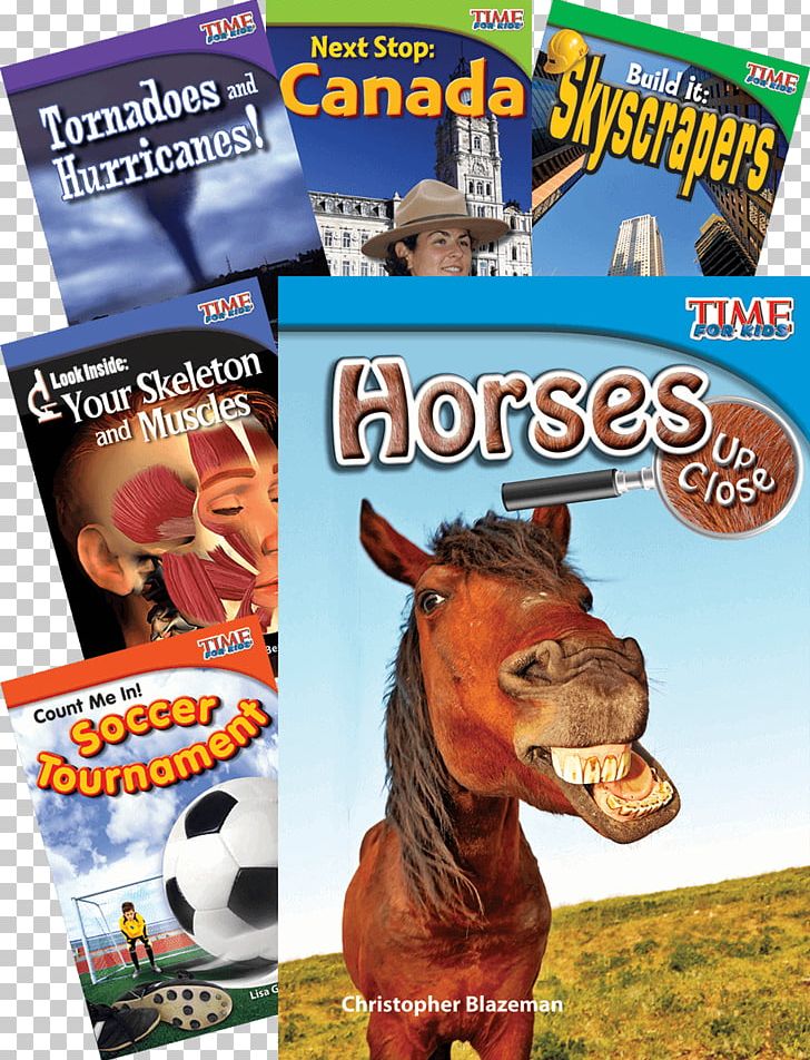 If I Ran The Horse Show Everything Horse: What Kids Really Want To Know About Horses Amazon.com Advertising PNG, Clipart,  Free PNG Download