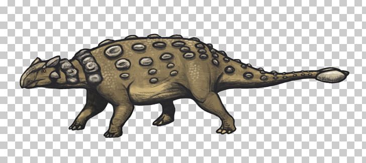 Ankylosaurus Stegosaurus Hadrosaurus Pachycephalosaurus Dinosaur PNG, Clipart, Ankylosauria, Ankylosauridae, Ankylosaurus, Armour, Barnum Brown Free PNG Download