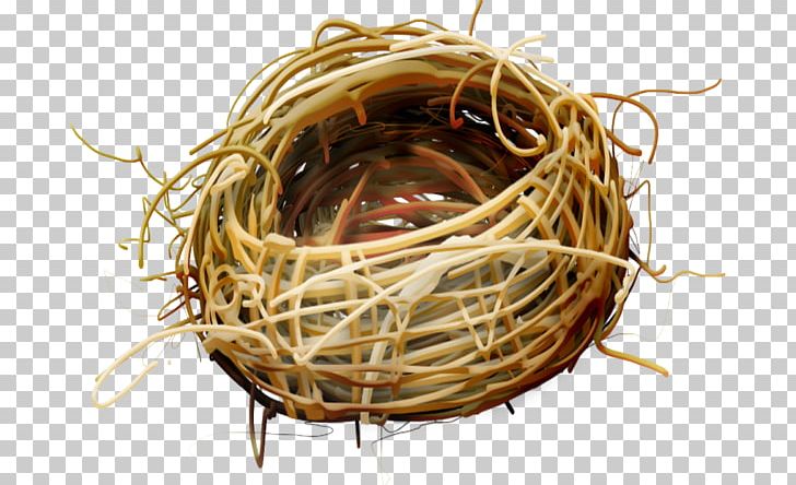 Bird Nest Bird Nest PNG, Clipart, Animals, Basket, Bird, Bird Cage, Bird Nest Free PNG Download
