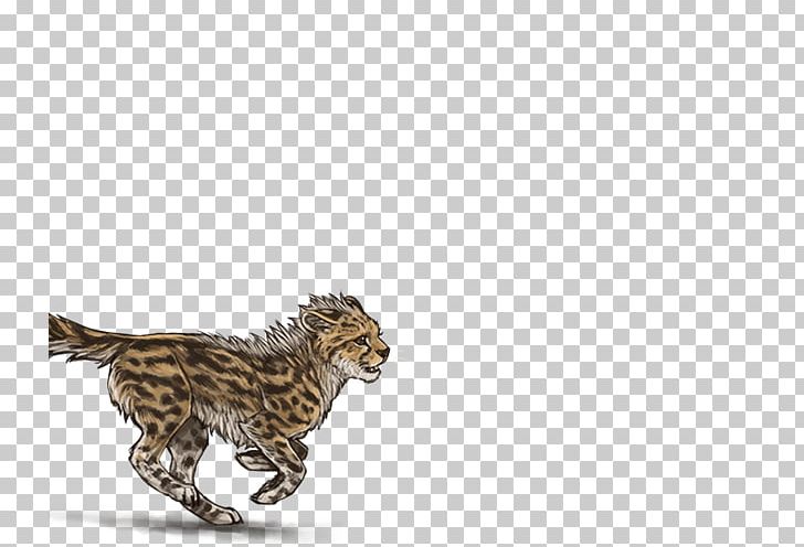 Cheetah Cat Animal Mammal Carnivora PNG, Clipart, Animal, Animal Figure, Animals, Big Cat, Big Cats Free PNG Download