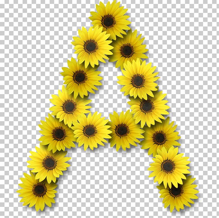Common Sunflower Alphabet Lettering PNG, Clipart, Alphabet, Common Sunflower, Daisy Family, Digital Scrapbooking, Flower Free PNG Download