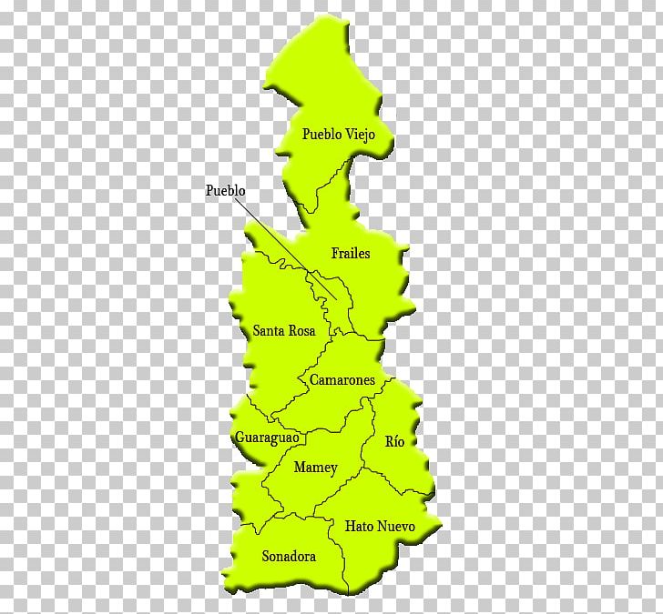 Guaynabo Maunabo Barrios Of Puerto Rico Yabucoa Map PNG, Clipart, Area, Blank Map, Christmas Tree, City Map, Conifer Free PNG Download