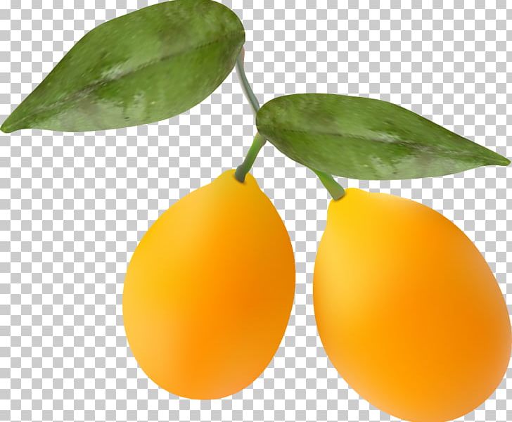 Kumquat Orange PNG, Clipart, Auglis, Citrus, Color, Encapsulated Postscript, Food Free PNG Download