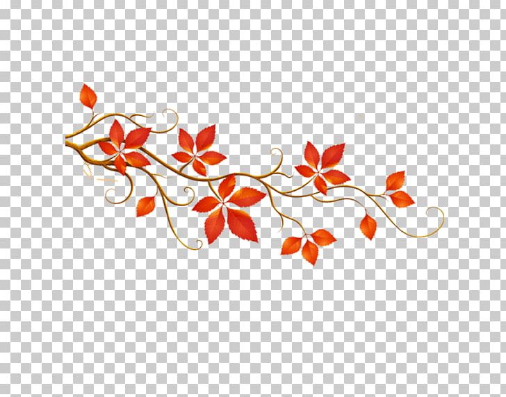 Autumn Leaf Color PNG, Clipart, Autumn, Autumn Leaf Color, Branch, Download, Drawing Free PNG Download