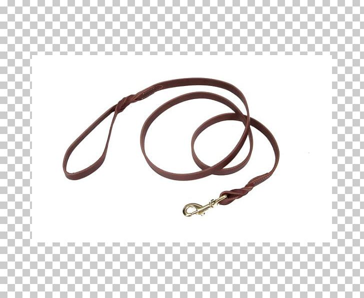 Leash Dog Ren's Pets Depot RC Pet Products Limited Hardware Random Number Generator PNG, Clipart,  Free PNG Download