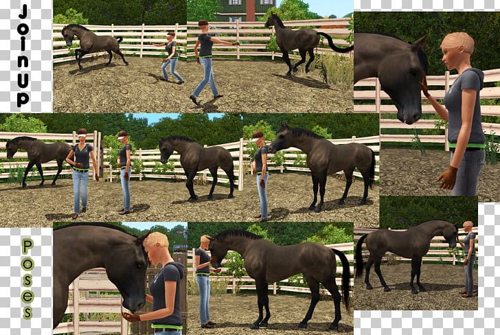 MySims The Sims 3 Mare Foal Mustang PNG, Clipart, English Saddle, Equus, Farm, Farrier, Foal Free PNG Download