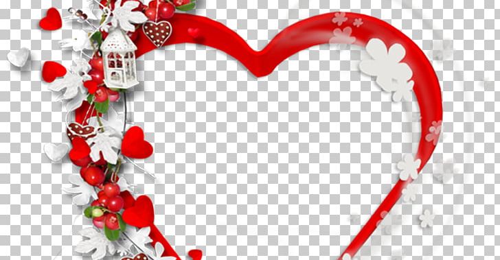 PhotoScape Photography PNG, Clipart, Christmas, Christmas Ornament, Desktop Wallpaper, Flower, Gimp Free PNG Download