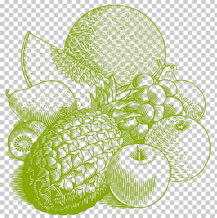 T-shirt Fruit Drawing PNG, Clipart, Auglis, Berry, Circle, Citrus, Clip Art Free PNG Download