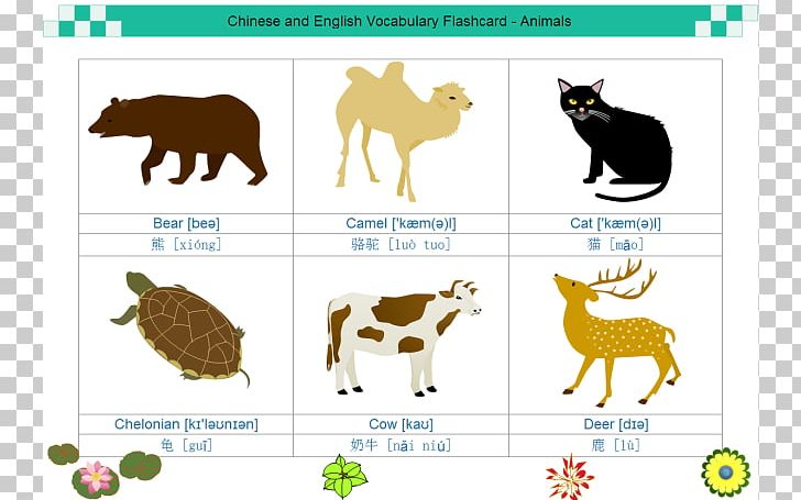 Flashcard Template Information Presentation PNG, Clipart, Animal, Animals Word Cliparts, Cattle Like Mammal, Computer Software, Document Free PNG Download