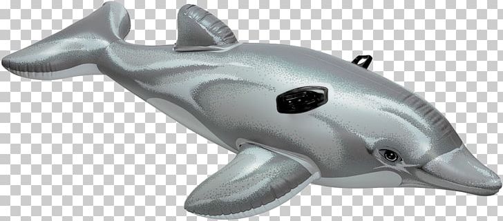 Intex 193x119 Inflatable Whale Intex PNG, Clipart,  Free PNG Download