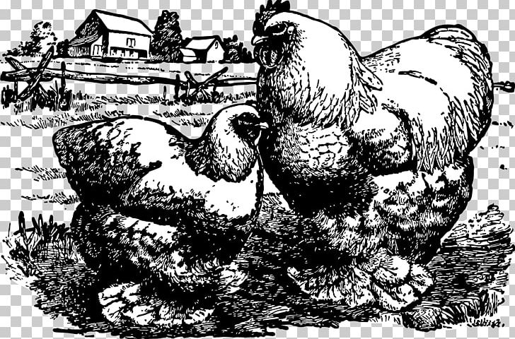Rooster Chicken Flightless Bird Beak PNG, Clipart, Animals, Art, Beak, Bird, Cartoon Free PNG Download
