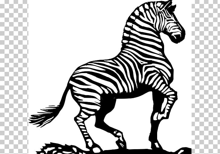 Zebra Horse Black And White PNG, Clipart, Animal, Animal Figure, Black And White, Bold Line Cliparts, Drawing Free PNG Download