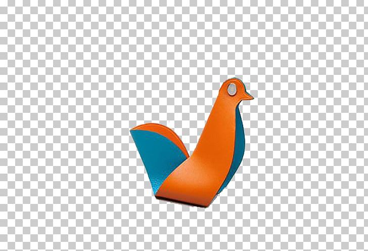 Blue Orange PNG, Clipart, Beak, Bird, Bird Cage, Birdie, Bird Vector Free PNG Download