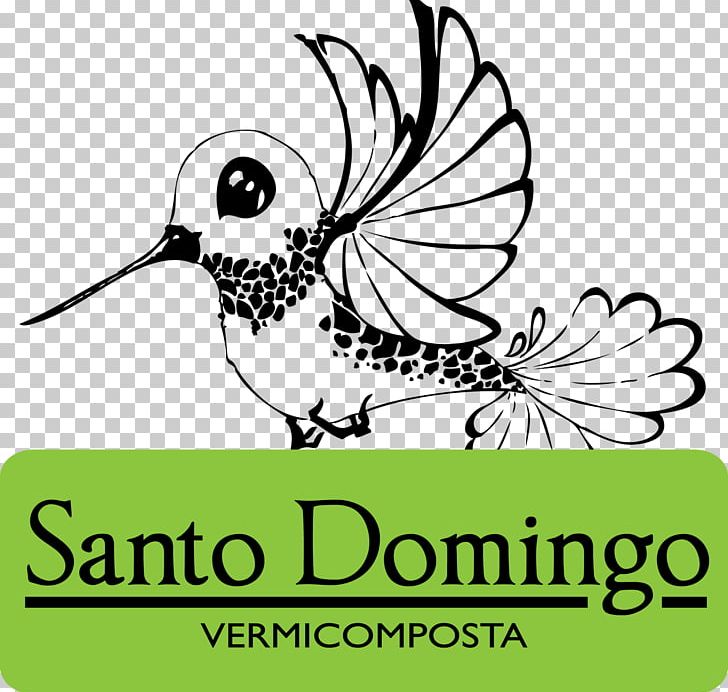 Casa Carlota Graphic Design Flora Line Art PNG, Clipart, Area, Artwork, Beak, Bird, Black And White Free PNG Download