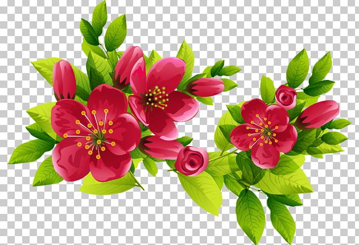 Paper Information Papel De Carta Photography PNG, Clipart, Annual Plant, Cut Flowers, Desktop Wallpaper, Floristry, Flower Free PNG Download