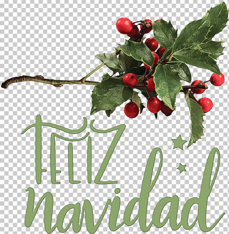 Mistletoe PNG, Clipart, American Holly, Berry, Branch, Common Holly, Feliz Navidad Free PNG Download