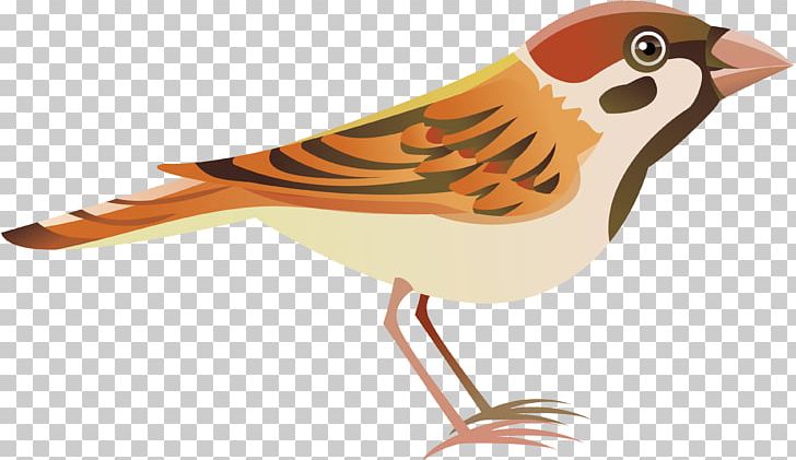 Bird House Sparrow Flight PNG, Clipart, Animals, Beak, Bird, Computer Icons, Download Free PNG Download